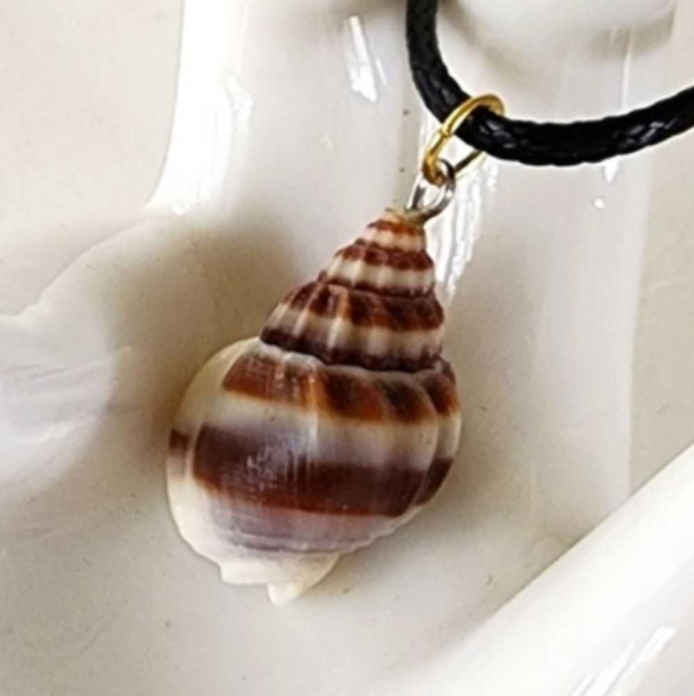 🐚 Conch Sea Shell Necklace